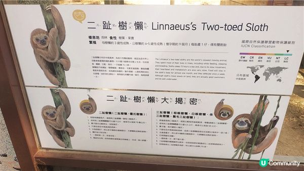 旅遊｜重新開張高雄Shoushan Zoo壽山動物園一日遊 ，新建天空橋看水豚