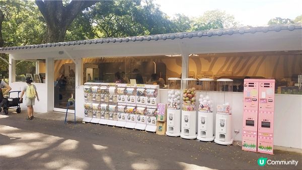 旅遊｜重新開張高雄Shoushan Zoo壽山動物園一日遊 ，新建天空橋看水豚