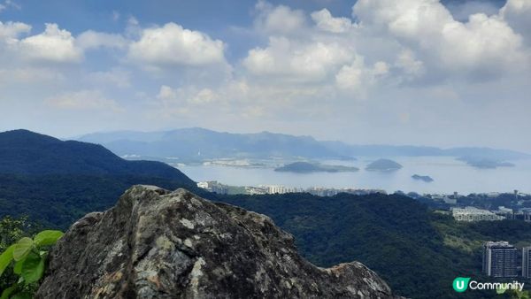 【大埔至九肚山行山篇】樹藤王➕九肚山