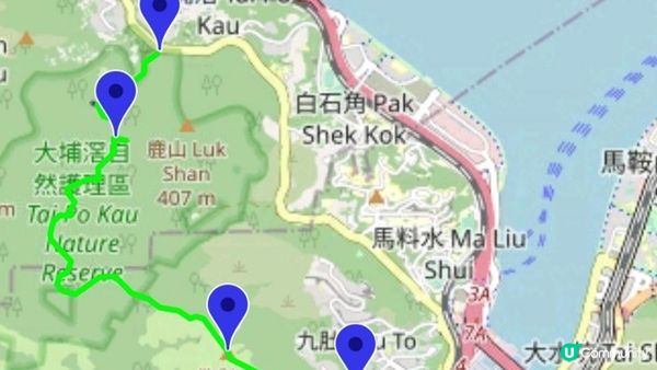 【大埔至九肚山行山篇】樹藤王➕九肚山