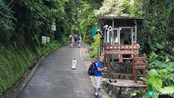 【大埔至九肚山行山篇】樹藤王➕九肚山