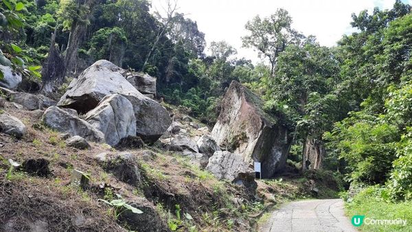 【大埔至九肚山行山篇】樹藤王➕九肚山