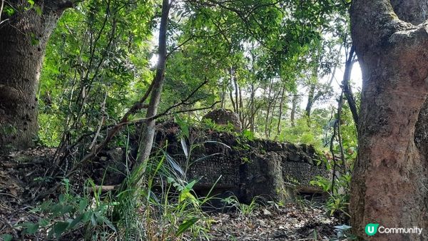 【港島行山篇】班納山、香港仔上水塘/下水塘、下塘坑