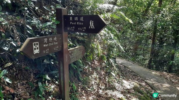 【港島行山篇】班納山、香港仔上水塘/下水塘、下塘坑