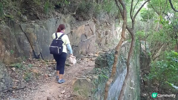 【港島行山篇】班納山、香港仔上水塘/下水塘、下塘坑