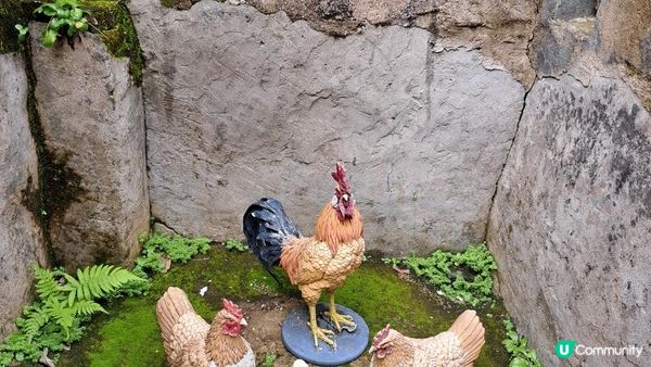 《西貢北潭涌至萬宜路行山篇》灰窰、上窰民俗文物館、起子灣、曝