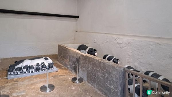 《西貢北潭涌至萬宜路行山篇》灰窰、上窰民俗文物館、起子灣、曝