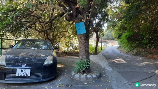 【東涌白芒至愉景灣行山篇】更樓、老虎頭觀景台、二白坳