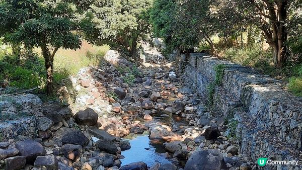 【東涌白芒至愉景灣行山篇】更樓、老虎頭觀景台、二白坳