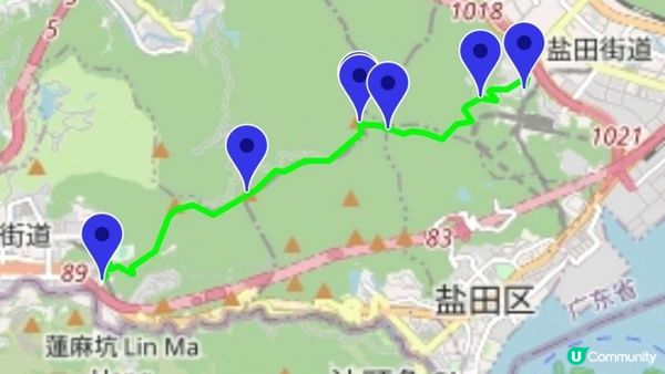 《深圳梧桐山👉秀桐道上：凌雲道落》天池、梧桐山(大梧桐)、