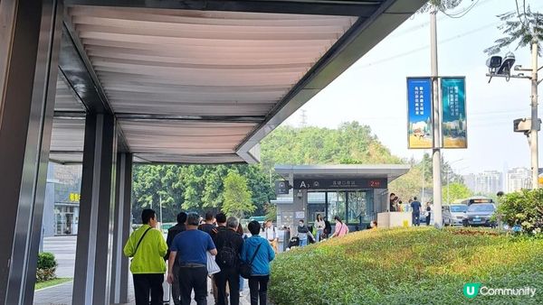 《深圳梧桐山👉秀桐道上：凌雲道落》天池、梧桐山(大梧桐)、