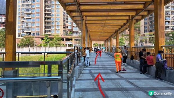 《深圳梧桐山👉秀桐道上：凌雲道落》天池、梧桐山(大梧桐)、