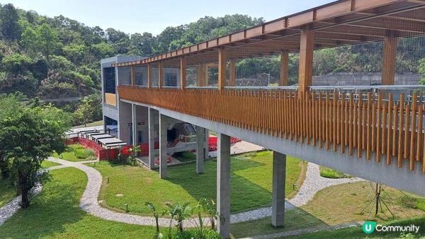 《深圳梧桐山👉秀桐道上：凌雲道落》天池、梧桐山(大梧桐)、