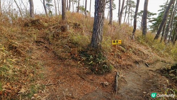 [遊記]獨遊5日仙台+大內宿休閑之旅(7) : 馬の背 - 松島海灣隱蔽嘅一角