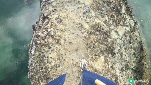 [遊記]獨遊5日仙台+大內宿休閑之旅(7) : 馬の背 - 松島海灣隱蔽嘅一角