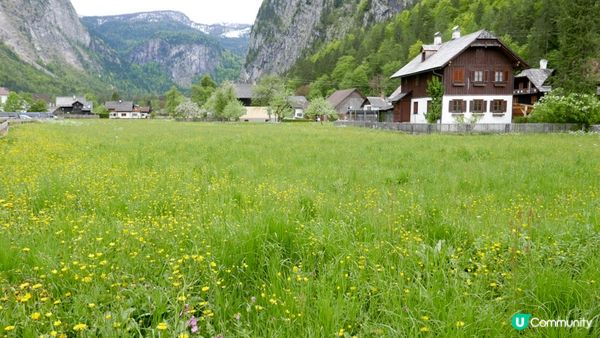 【奧地利Hallstatt住宿推薦】遠離煩囂的山間小木屋 W & S Grand Suites