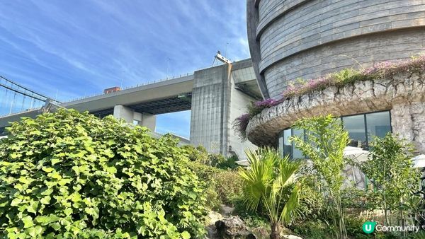 馬灣｜一小時 多角度欣賞青馬大橋｜科幻電影感打卡位