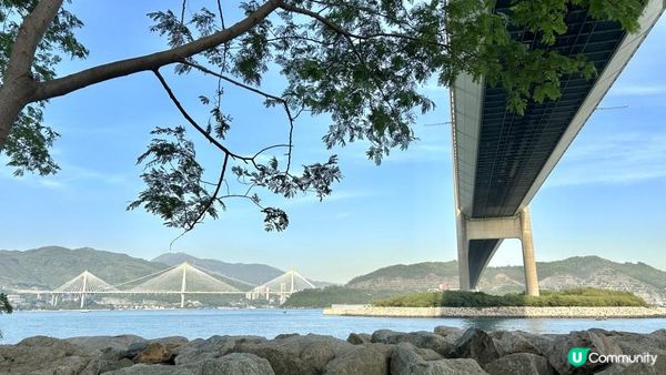 馬灣｜一小時 多角度欣賞青馬大橋｜科幻電影感打卡位