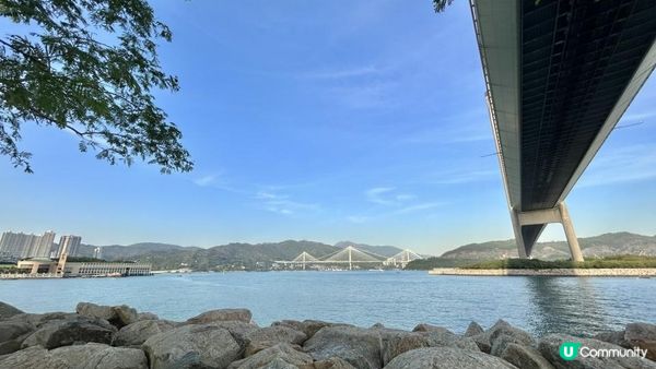 馬灣｜一小時 多角度欣賞青馬大橋｜科幻電影感打卡位