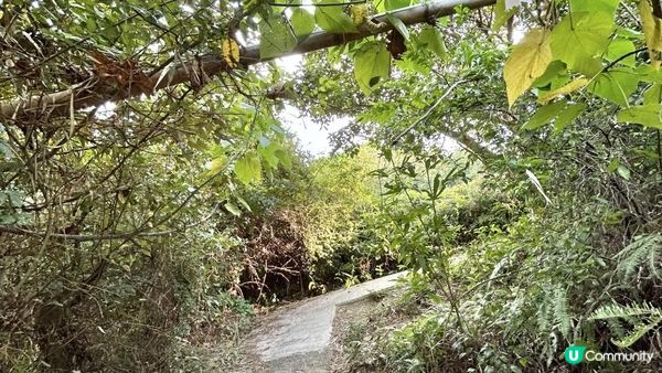 馬灣｜一小時 多角度欣賞青馬大橋｜科幻電影感打卡位