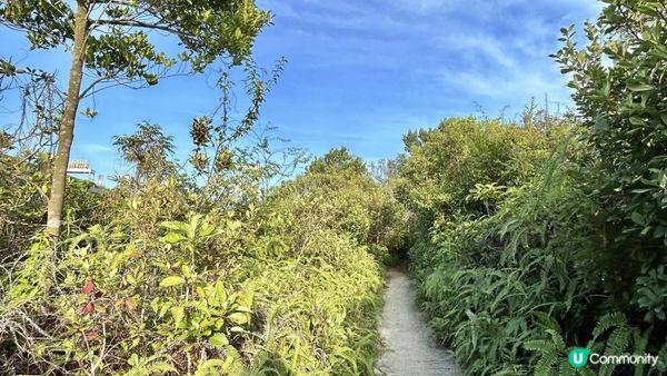 馬灣｜一小時 多角度欣賞青馬大橋｜科幻電影感打卡位