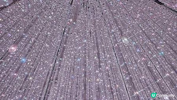 【東京】百合海鷗號一日票超划算，帶你吃盡豐洲市場、玩透Teamlab逛台場!