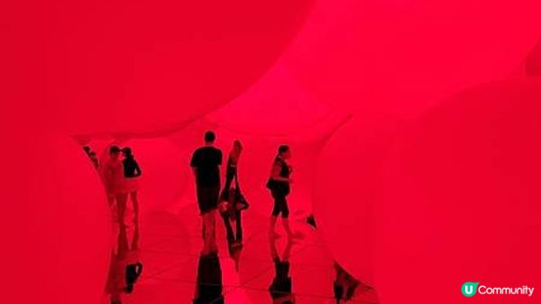 【東京】百合海鷗號一日票超划算，帶你吃盡豐洲市場、玩透Teamlab逛台場!