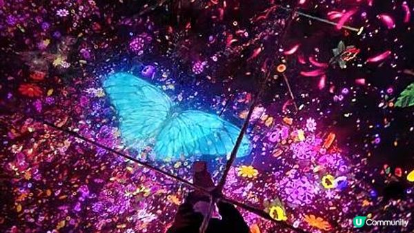 【東京】百合海鷗號一日票超划算，帶你吃盡豐洲市場、玩透Teamlab逛台場!