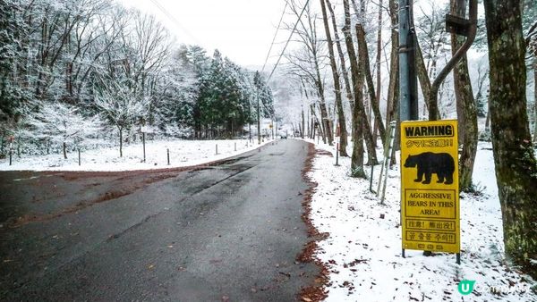 [遊記]獨遊5日仙台+大內宿休閑之旅(4) : 福島縣絕境之一「塔のへつり (塔之岪)」