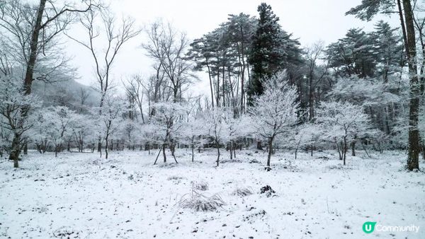 [遊記]獨遊5日仙台+大內宿休閑之旅(4) : 福島縣絕境之一「塔のへつり (塔之岪)」