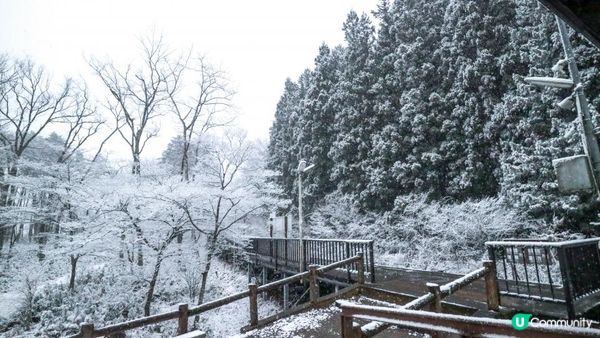 [遊記]獨遊5日仙台+大內宿休閑之旅(4) : 福島縣絕境之一「塔のへつり (塔之岪)」