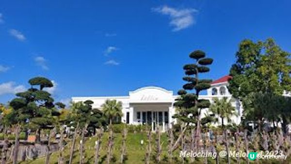 小白鷺（白鷺湖）鬱金香