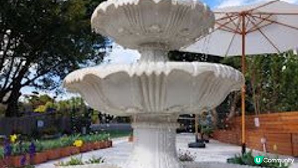 小白鷺（白鷺湖）鬱金香