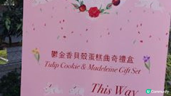 小白鷺（白鷺湖）鬱金香