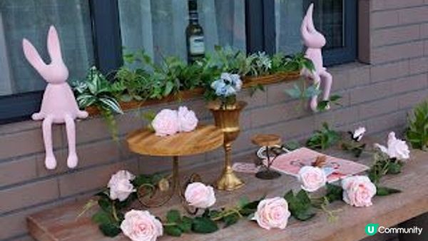 小白鷺（白鷺湖）鬱金香