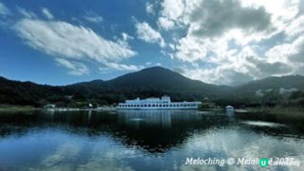 小白鷺（白鷺湖）鬱金香