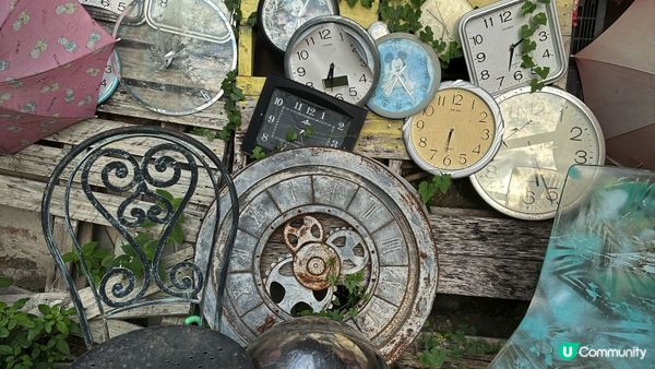 【香港離島好去處】閒遊坪洲｜閒遊秘密花園。尋訪「港版沉下橋」。漫步東灣沙灘｜中午出發輕鬆悠閒路線推介