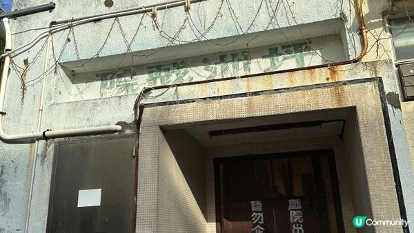 【香港離島好去處】閒遊坪洲｜閒遊秘密花園。尋訪「港版沉下橋」。漫步東灣沙灘｜中午出發輕鬆悠閒路線推介