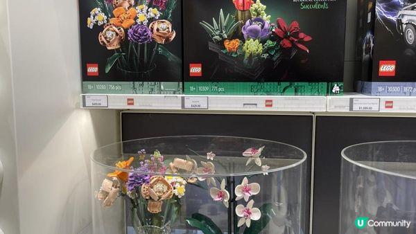 🇭🇰 將軍澳 ✅全港首個 2.5D 馬賽克牆打卡‼️LEGO Certified Store 