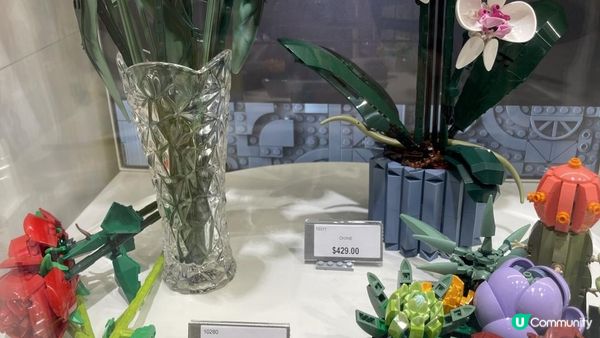 🇭🇰 將軍澳 ✅全港首個 2.5D 馬賽克牆打卡‼️LEGO Certified Store 