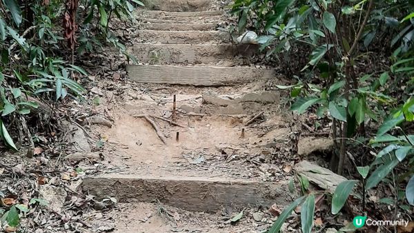 【西貢行山篇】蚺蛇尖、東灣、大灣