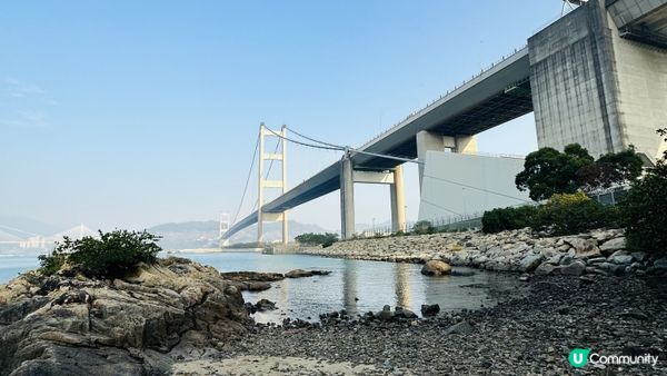馬灣行山】登上大嶺頭。飽覽青馬大橋、汲水門大橋和馬灣海峽一帶