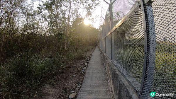 【馬灣行山】登上大嶺頭。飽覽青馬大橋、汲水門大橋和馬灣海峽一帶的景色。欣賞日落｜初級行山輕鬆路線兩小時內行完