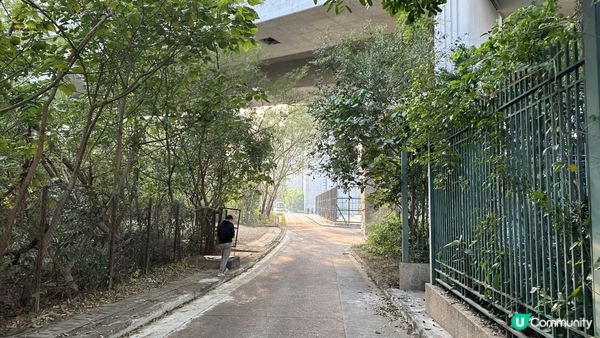 【馬灣行山】登上大嶺頭。飽覽青馬大橋、汲水門大橋和馬灣海峽一帶的景色。欣賞日落｜初級行山輕鬆路線兩小時內行完