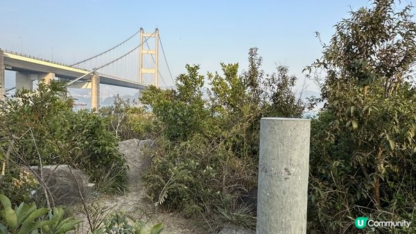 【馬灣行山】登上大嶺頭。飽覽青馬大橋、汲水門大橋和馬灣海峽一帶的景色。欣賞日落｜初級行山輕鬆路線兩小時內行完