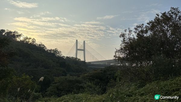 【馬灣行山】登上大嶺頭。飽覽青馬大橋、汲水門大橋和馬灣海峽一帶的景色。欣賞日落｜初級行山輕鬆路線兩小時內行完