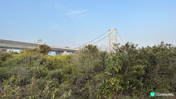 【馬灣行山】登上大嶺頭。飽覽青馬大橋、汲水門大橋和馬灣海峽一帶的景色。欣賞日落｜初級行山輕鬆路線兩小時內行完