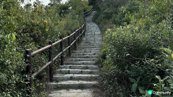 【馬灣行山】登上大嶺頭。飽覽青馬大橋、汲水門大橋和馬灣海峽一帶的景色。欣賞日落｜初級行山輕鬆路線兩小時內行完