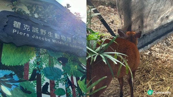 【香港好去處】 嘉道理農場｜睇花睇紅葉睇動物｜園內有多條行山路線選擇