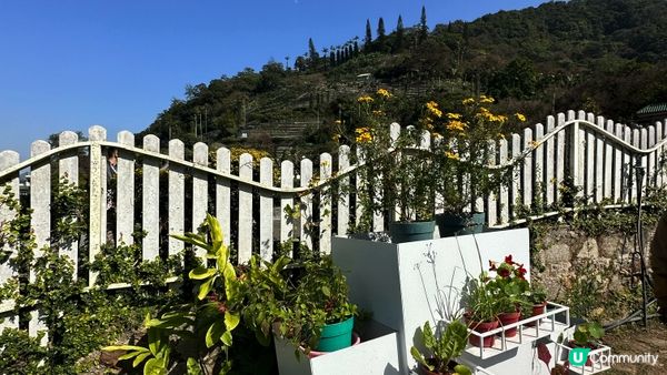 【香港好去處】 嘉道理農場｜睇花睇紅葉睇動物｜園內有多條行山路線選擇